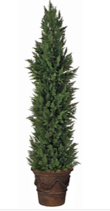 10 Foot Outdoor Polyblend Cypress Tree